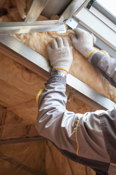 Best Specialized Insulation Services in Louisville, OH