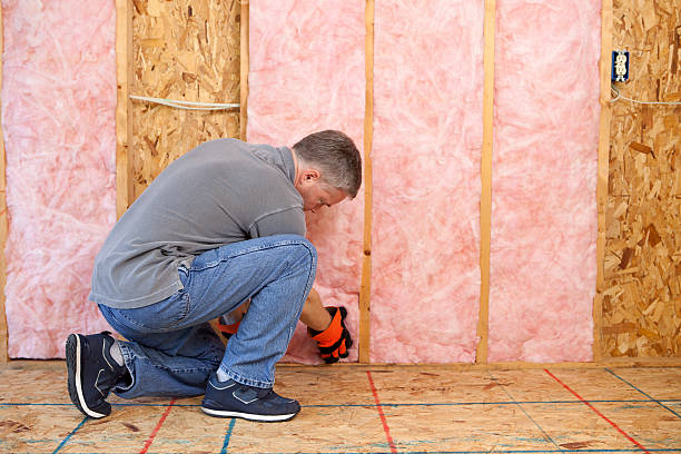 Best Eco-Friendly Insulation in Louisville, OH